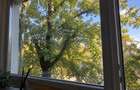REA1029604 Apartament 2 Camere I Primaverii