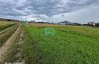 Teren intravilan, 600 mp, Sanpetru, Brasov - 8