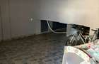 Casa P+1, 350 mp utili, teren 500 mp, zona Craiovita Noua - 20