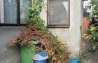 🏡✨ Casă individuală de vânzare în Gruia – teren generos de 601 mp🌳🚗
