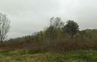 Teren extravilan - 4.175 mp, sat.Miroslavesti - 1