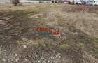 Teren de vanzare zona Micesti sau schimb cu apartament !! - 5