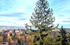 Apartament 3 camere | 120 MP | Ultracentral | Terasă + Pod | 89.000 € - 21