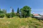Casa + teren intravil, 3.6 ha I Zagon I Potential turistic si investitional - 5