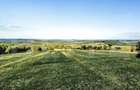 Teren intravilan, 1000 mp, zona Treznea - 12
