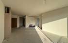 Penthouse 3 cam 114mp, 3 bai, terasa 57mp, Zorilor - Lidl Frunzisului - 19