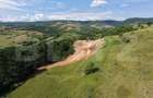 Teren de vanzare, 3710 mp, zona Agarbiciu - 6