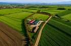 FILM! 18.000 mp, extravilan, agricol+ constructii:ferma,investitii agricole, Rot - 2