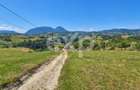 1061 mp în Poiana Mărului | Teren cu potențial, la doar 1 km de asfalt - 1