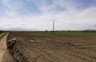 TEREN AGRICOL DE VANZARE - BOD - BRASOV 4,5 HA - 7
