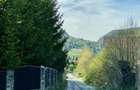 Teren panoramic însorit, utilități, panta mica si pădure, turism sau vacanță - 13