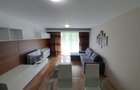 APARTAMENT 2 camere zona Otopeni bloc NOU-OCAZIE. - 4