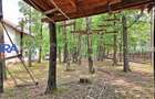 Casă de vacanță în pădure, 10 km de Pitești - Babana - 11