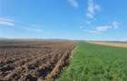Teren extravilan 4.500- max.18.300mp in comuna Rosia (17 km de Sibiu) - 8
