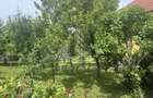Casă unifamilială în Ghiroda cu teren generos 1752 mp - 11