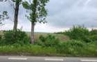 VANZARE TEREN INTRAVILAN CU DESCHIDERE DE 20 ML LA DJ SILISTEA SNAGOV - 4