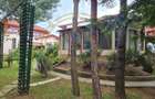 DOM00443 - Vila  la lac cu ponton si piscina Snagov - 2