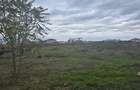 Vand teren in Palazu Mare lot de casa - 2
