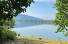 Teren de vanzare 6000 mp cu iesire la Lac Surduc - 8