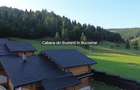 Cabană din Bușteni de Vânzare în Bucovina | Mălini | La - 7