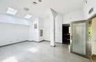 Vila Baneasa, teren 380mp, pretabilă birouri, restaurant, hub, curte - 10