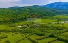 Teren 1ha Valea Glăjeriei - Rasnov | Comision 0% - 7
