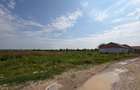 Teren de vanzare, 18.700 mp, Hanul Roșu - 1
