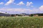 Teren intravilan 1,2 ha *12000 mp, casa 61 mp, sera, front stradal 15 m