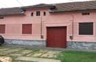 Valisoara, Casa la curte si Teren 3040 Mp, 10 minute de Caransebes - 17