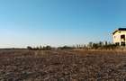 Ciolpani, spre Izvorani - COR, vanzare teren 5000mp. - 12