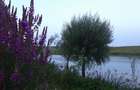 Belciugatele - Mariuta, teren cu iesire la lac - 1