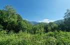 Teren pentru casă de vacanță - 2