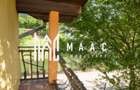 CASA 4 CAMERE| TEREN 330 MP| GORANU - 10