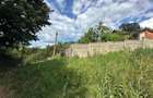 Teren intravilan, 3694 mp., zona Primaria Bocsa, COMISION ZERO% PT. CUMPARATOR. - 3