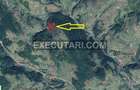 Teren extravilan - 2.000 m², Arieseni - 3