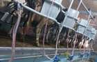 Ferma zootehnică funcțională, populată cu peste 200 capete bovine, aproape de Sâ - 1