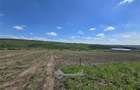 Teren intravial - Valea Lupului 665 m - 4