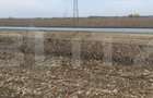 Teren extravilan de 8 ha în C. Șagului la viitoarea centură - 6
