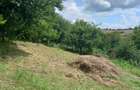 Teren intravilan pentru constructie casa - 3