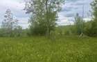 Teren intravilan Sotrile 6762 mp – Investitie, camping, agroturism - 5