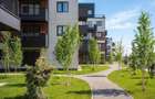 Apartament cu Gradina Pipera | Oportunitate investitie - 6