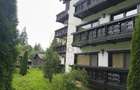 Penthouse cu vedere spectaculoasă către Vârful Omu și Masivul Bucegi | Predeal – - 8