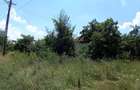 Vanzare Casa + Teren Rajletu-Govora - 4
