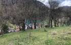 Royal Imobiliare-Vanzare Teren Zona Voineasa - 7