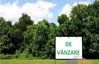 Teren intravilan,  12.200mp, zona Francei. (2 parcele-se vand si separat) - 1