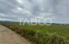 Teren intravilan 2 fronturi de 35 m fiecare 8.000 mp Turnisor Sibiu - 5