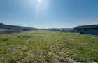 Teren Intravilan 1000 mp Dealuri - Oradea - 4