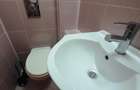 Apartament 3 camere decomandat 2 bai Nicolina - Gradinita nr. 1 - 13