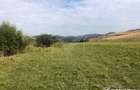 21.500 mp de teren cu privelisti superbe in Valea Agrisului (comuna Iara) - 7