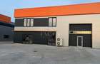 Hub Logistic Chiajna - Inchiriere Hala 553 mp - 3